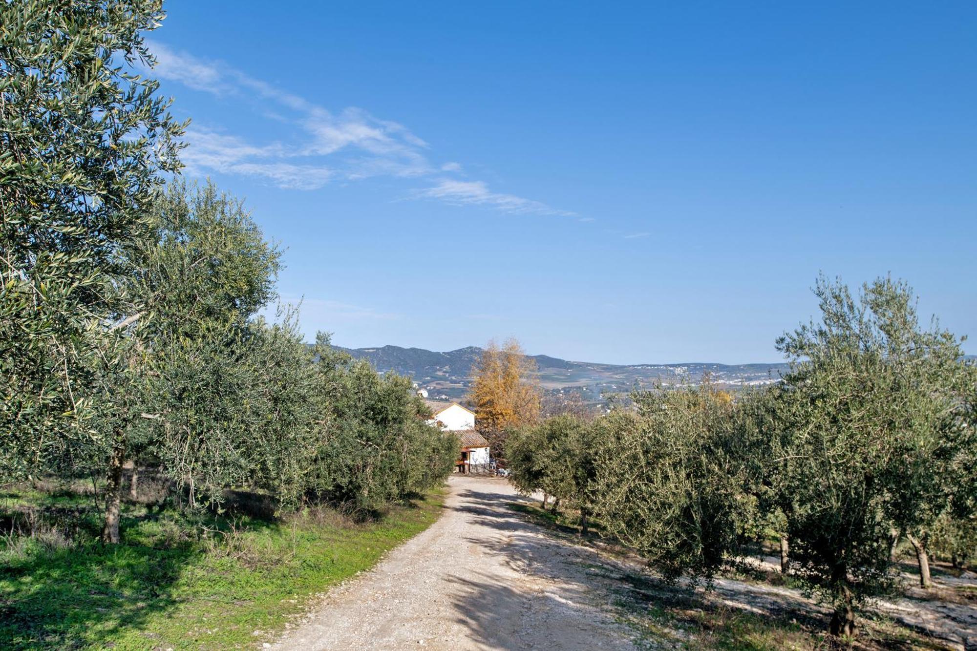 Casa Rural Fuente Dulce Ronda Exteriör bild